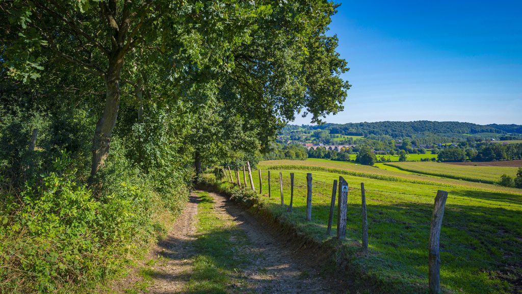 wandelen/ zuid-limburg/ veldweg/ wandelroutes/ blauwe lucht/