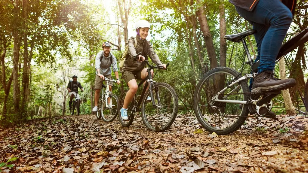 mountain bike