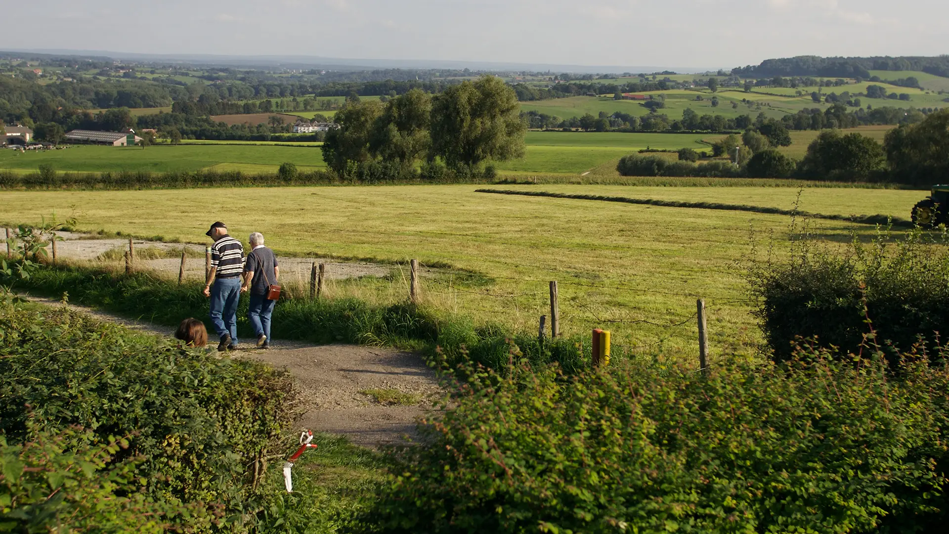 wandelen/ zuid-limburg/ veldweg/ wandelroutes/ blauwe lucht/