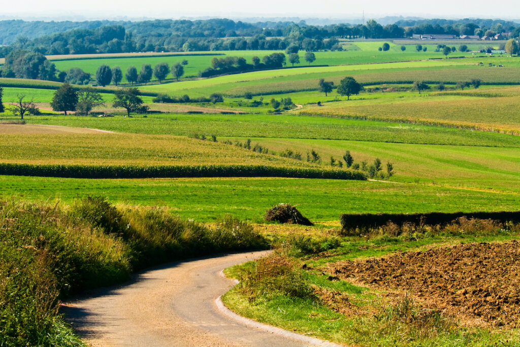 landschap